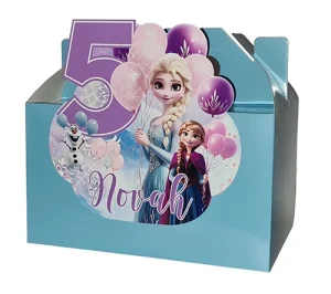 Frozen 3d Party Box