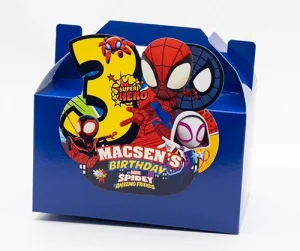 Spidey and his amazing friends 3d party box
