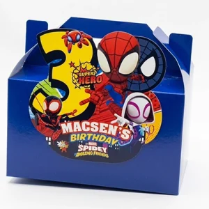 Spidey and his amazing friends 3d party box