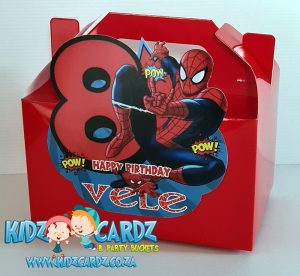 Spiderman Party Pack