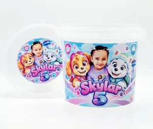 Skye and Everest Paw Patrol Party bucket