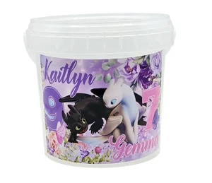 Toothless and light fury Party bucket party packs