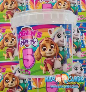 Paw Patrol Skye party bucket