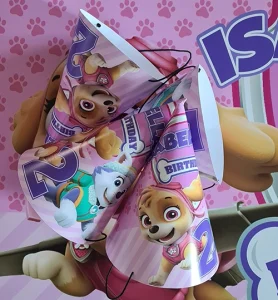 Paw Patrol Skye Party Hats